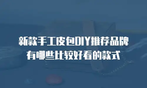 新款手工皮包DIY推荐品牌有哪些比较好看的款式