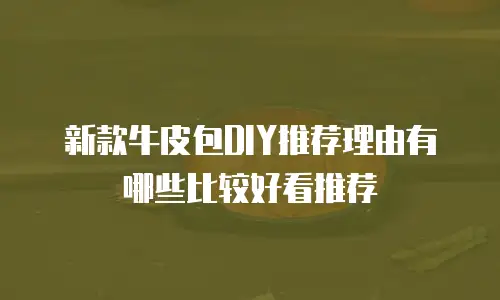 新款牛皮包DIY推荐理由有哪些比较好看推荐