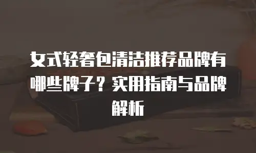 女式轻奢包清洁推荐品牌有哪些牌子？实用指南与品牌解析
