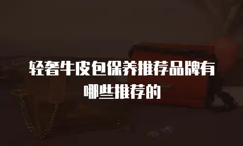 轻奢牛皮包保养推荐品牌有哪些推荐的