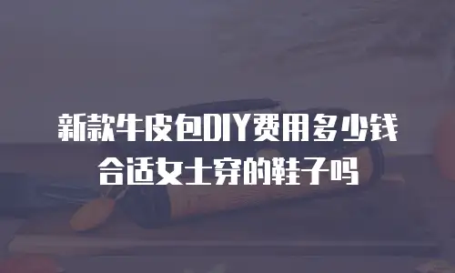 新款牛皮包DIY费用多少钱合适女士穿的鞋子吗