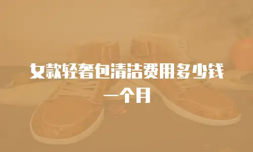 女款轻奢包清洁费用多少钱一个月