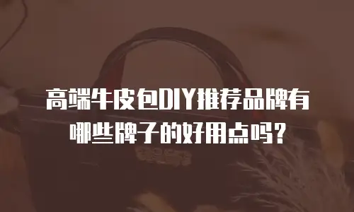 高端牛皮包DIY推荐品牌有哪些牌子的好用点吗？