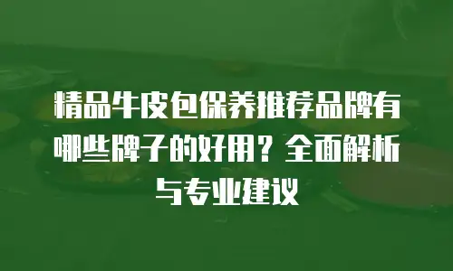 精品牛皮包保养推荐品牌有哪些牌子的好用？全面解析与专业建议