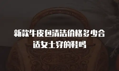 新款牛皮包清洁价格多少合适女士穿的鞋吗