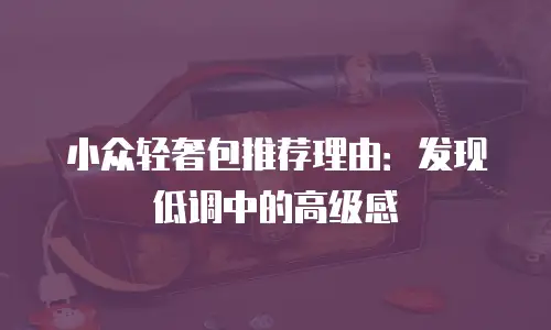 小众轻奢包推荐理由：发现低调中的高级感