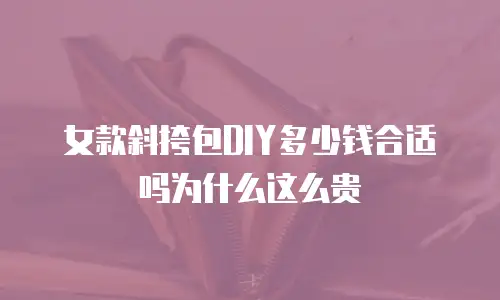 女款斜挎包DIY多少钱合适吗为什么这么贵