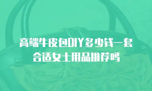 高端牛皮包DIY多少钱一套合适女士用品推荐吗