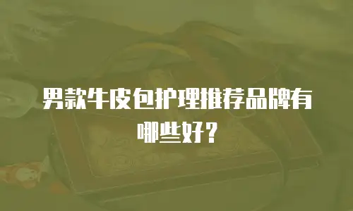 男款牛皮包护理推荐品牌有哪些好？