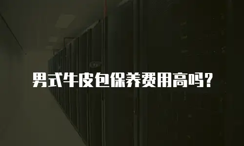 男式牛皮包保养费用高吗？