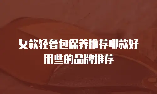女款轻奢包保养推荐哪款好用些的品牌推荐