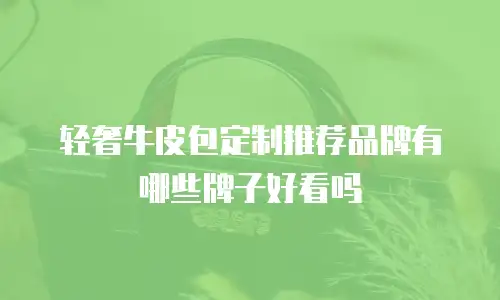 轻奢牛皮包定制推荐品牌有哪些牌子好看吗