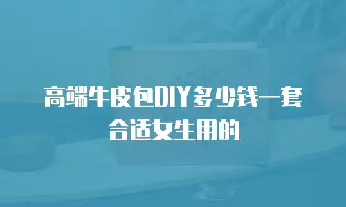 高端牛皮包DIY多少钱一套合适女生用的