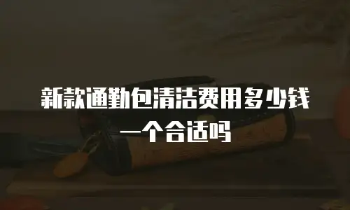 新款通勤包清洁费用多少钱一个合适吗