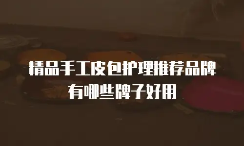 精品手工皮包护理推荐品牌有哪些牌子好用