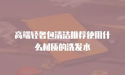 高端轻奢包清洁推荐使用什么材质的洗发水