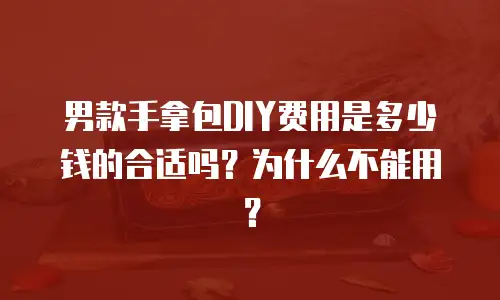 男款手拿包DIY费用是多少钱的合适吗？为什么不能用？