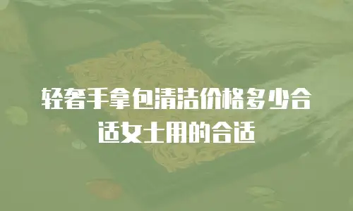 轻奢手拿包清洁价格多少合适女士用的合适