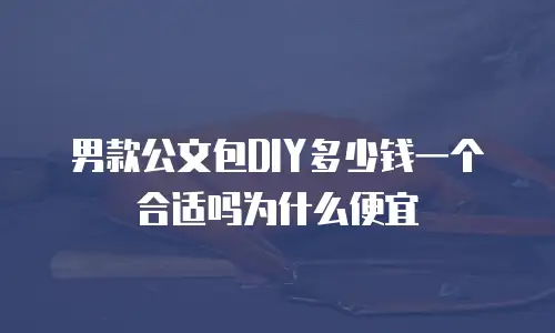 男款公文包DIY多少钱一个合适吗为什么便宜