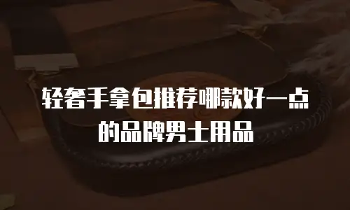 轻奢手拿包推荐哪款好一点的品牌男士用品