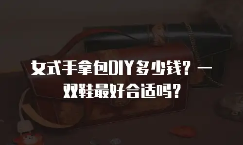 女式手拿包DIY多少钱？一双鞋最好合适吗？