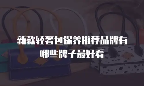 新款轻奢包保养推荐品牌有哪些牌子最好看