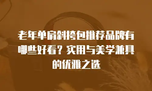 老年单肩斜挎包推荐品牌有哪些好看？实用与美学兼具的优雅之选