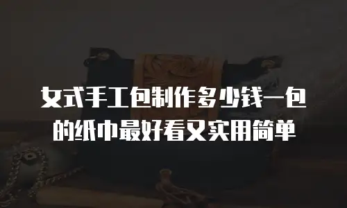 女式手工包制作多少钱一包的纸巾最好看又实用简单