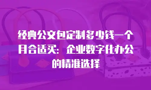 经典公文包定制多少钱一个月合适买：企业数字化办公的精准选择
