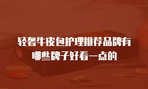 轻奢牛皮包护理推荐品牌有哪些牌子好看一点的