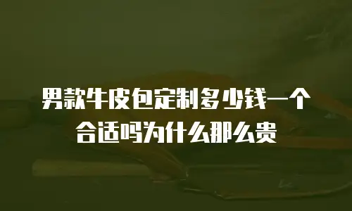 男款牛皮包定制多少钱一个合适吗为什么那么贵