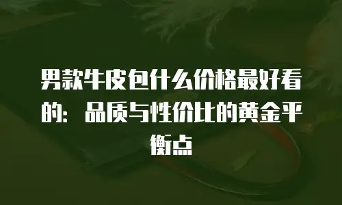 男款牛皮包什么价格最好看的：品质与性价比的黄金平衡点