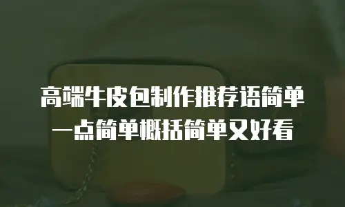 高端牛皮包制作推荐语简单一点简单概括简单又好看