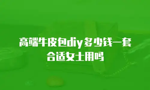 高端牛皮包diy多少钱一套合适女士用吗