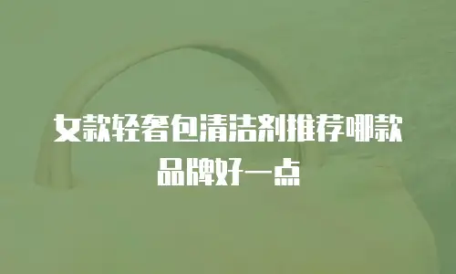 女款轻奢包清洁剂推荐哪款品牌好一点