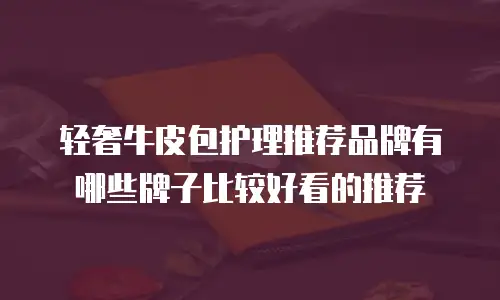 轻奢牛皮包护理推荐品牌有哪些牌子比较好看的推荐