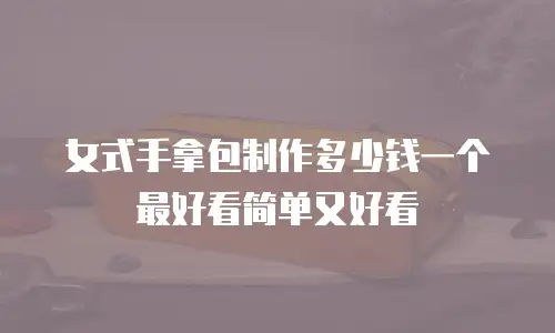 女式手拿包制作多少钱一个最好看简单又好看