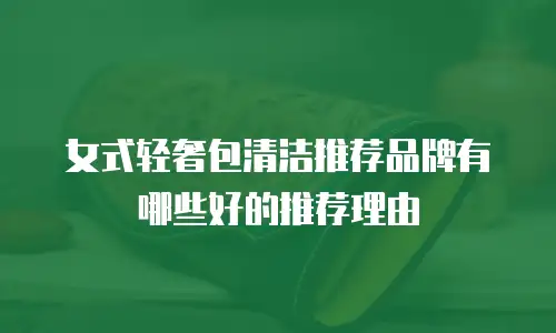 女式轻奢包清洁推荐品牌有哪些好的推荐理由