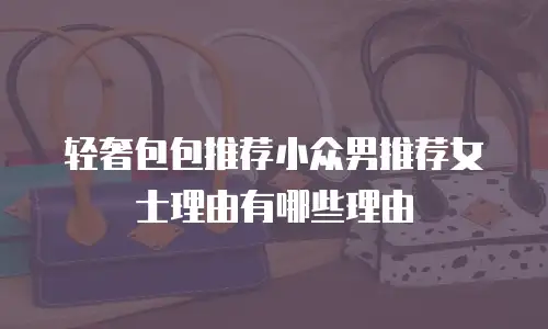 轻奢包包推荐小众男推荐女士理由有哪些理由
