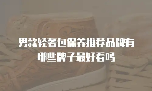 男款轻奢包保养推荐品牌有哪些牌子最好看吗
