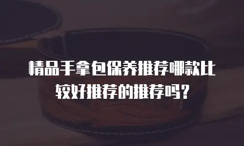 精品手拿包保养推荐哪款比较好推荐的推荐吗？