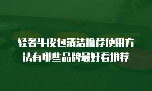 轻奢牛皮包清洁推荐使用方法有哪些品牌最好看推荐