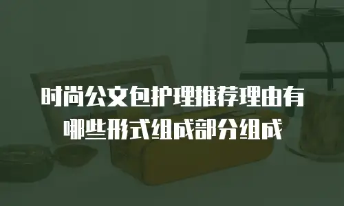 时尚公文包护理推荐理由有哪些形式组成部分组成