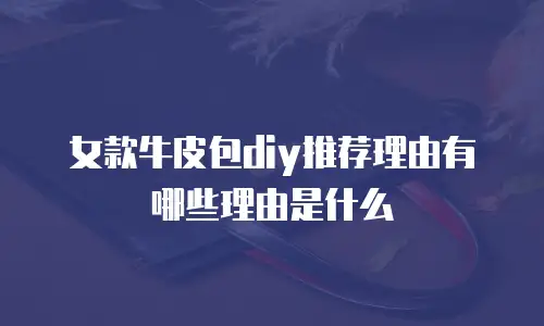女款牛皮包diy推荐理由有哪些理由是什么