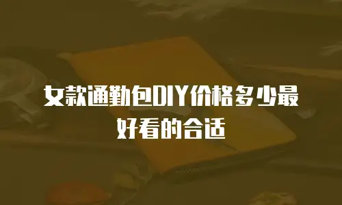 女款通勤包DIY价格多少最好看的合适
