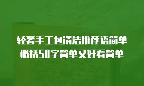 轻奢手工包清洁推荐语简单概括50字简单又好看简单