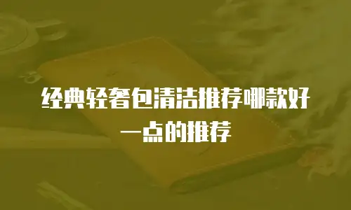 经典轻奢包清洁推荐哪款好一点的推荐