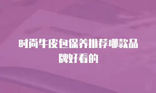 时尚牛皮包保养推荐哪款品牌好看的