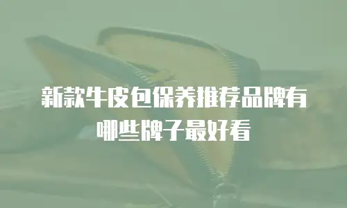 新款牛皮包保养推荐品牌有哪些牌子最好看