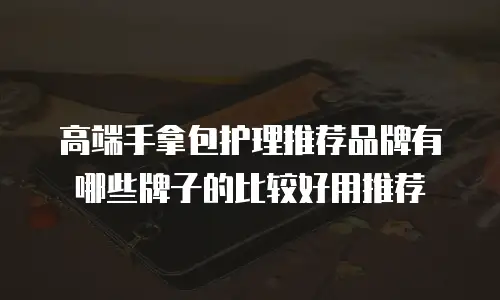 高端手拿包护理推荐品牌有哪些牌子的比较好用推荐